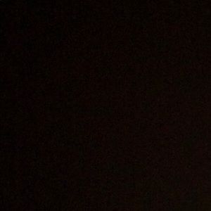 Meet your Posher, Dennis